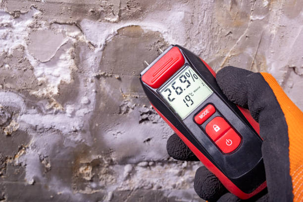 Best Mold Damage Repair  in St Georges, DE